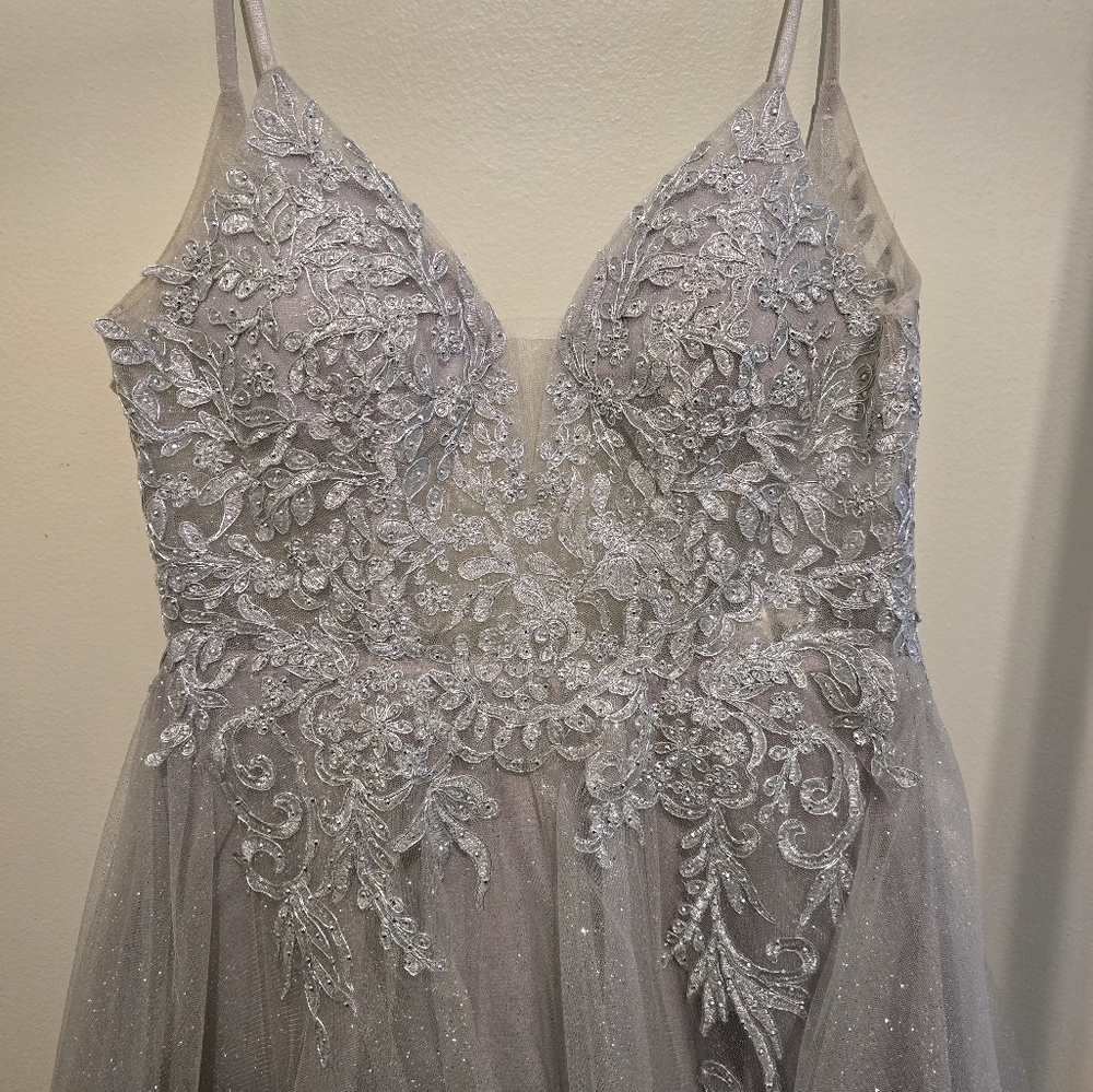 Elegant Silver Lace Tulle Dress - Picture 2 of 4